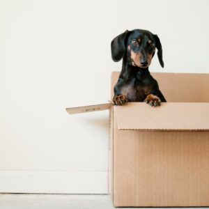 managing stress when moving house, advice from the us therapy clinic in Singapore